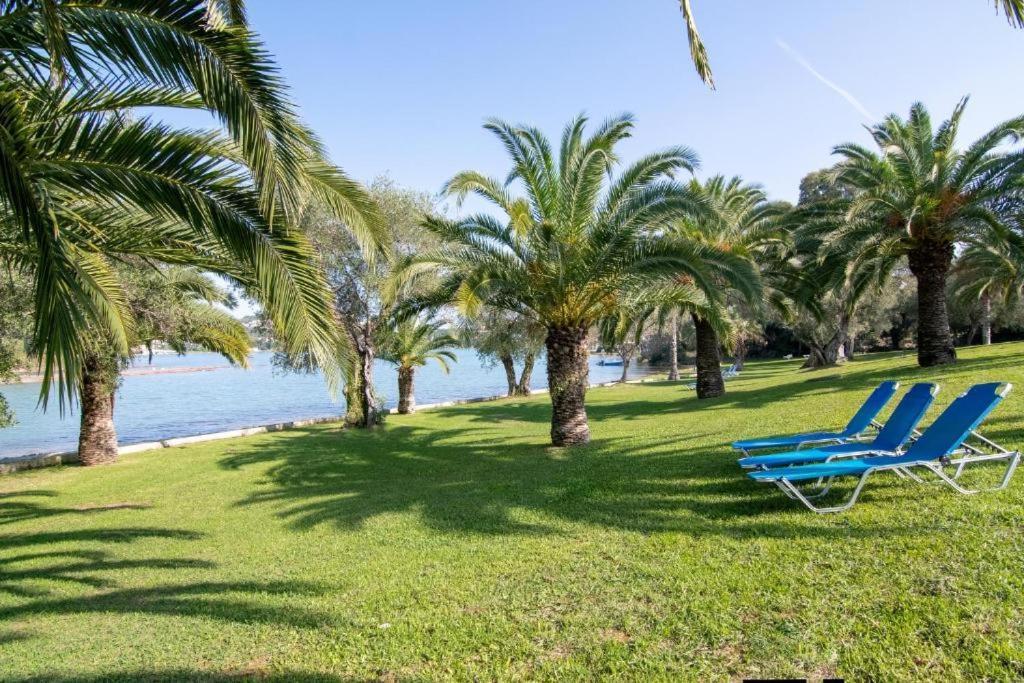 Palm Tree Corfu Apt. Danilia Extérieur photo